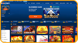 Mostbet Testimonial