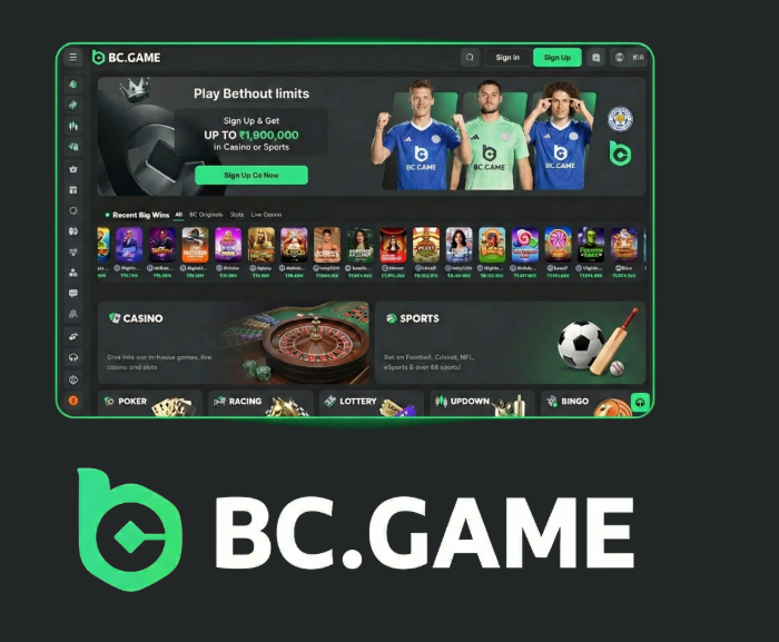 Understanding BC.Game Login A Complete Guide